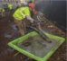 Deslauriers WOP-01 Reusable Concrete Wash Out Pan, 62"L x 55"W x 12"D, 130 Gal. capacity - DES-WOP-01
